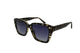 TortoiseShell